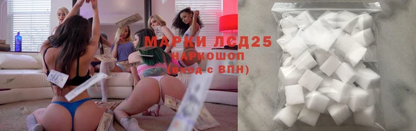 гидропоника Алзамай