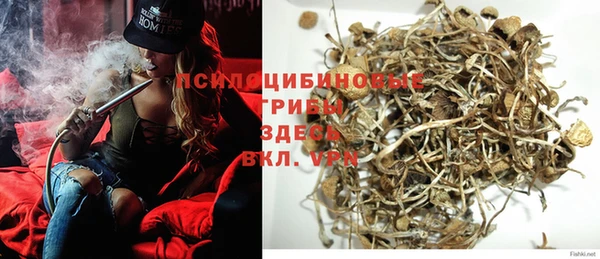 дмт Алексеевка