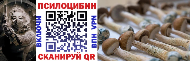 Псилоцибиновые грибы MAGIC MUSHROOMS  наркота  Константиновск 